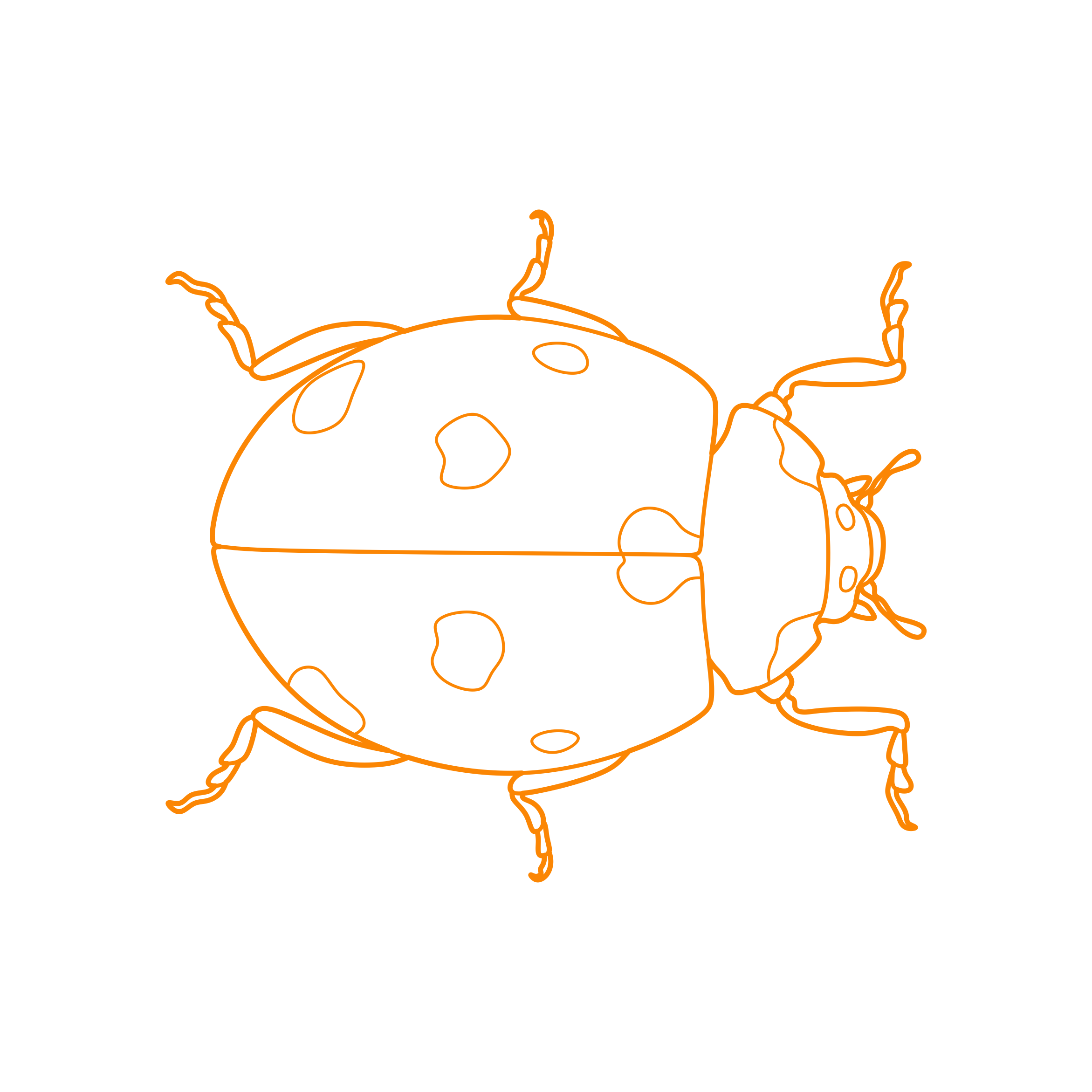 Animals Insects Seven Spot Ladybug Stencil Svg Design File Free Vectors